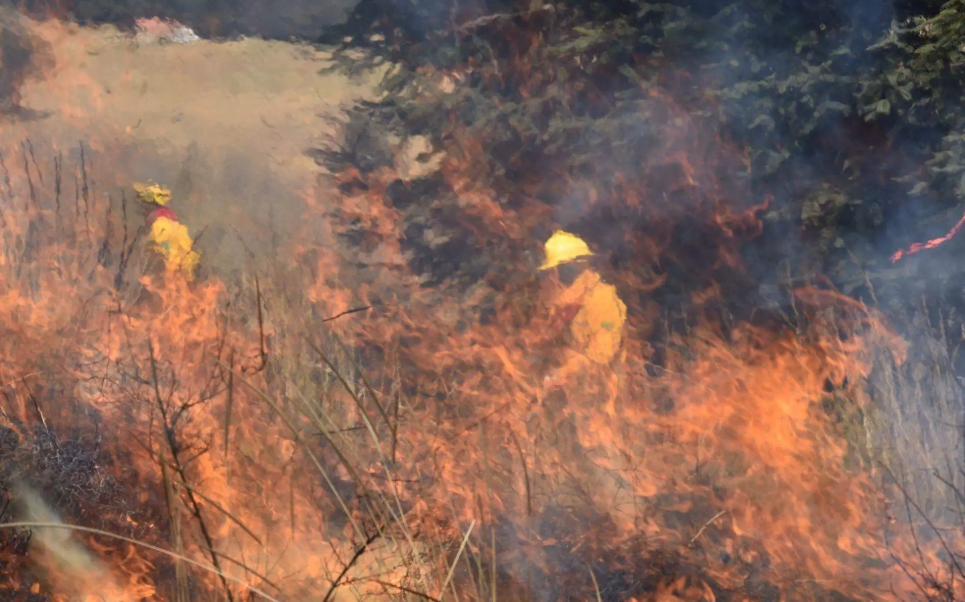 incendios edomex